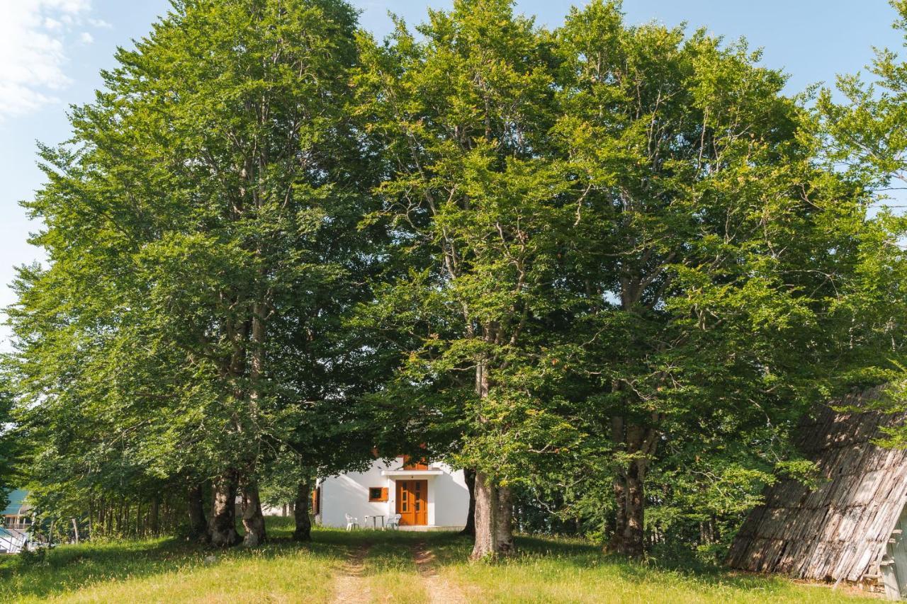 Villa Highlander's House Žabljak Exterior foto