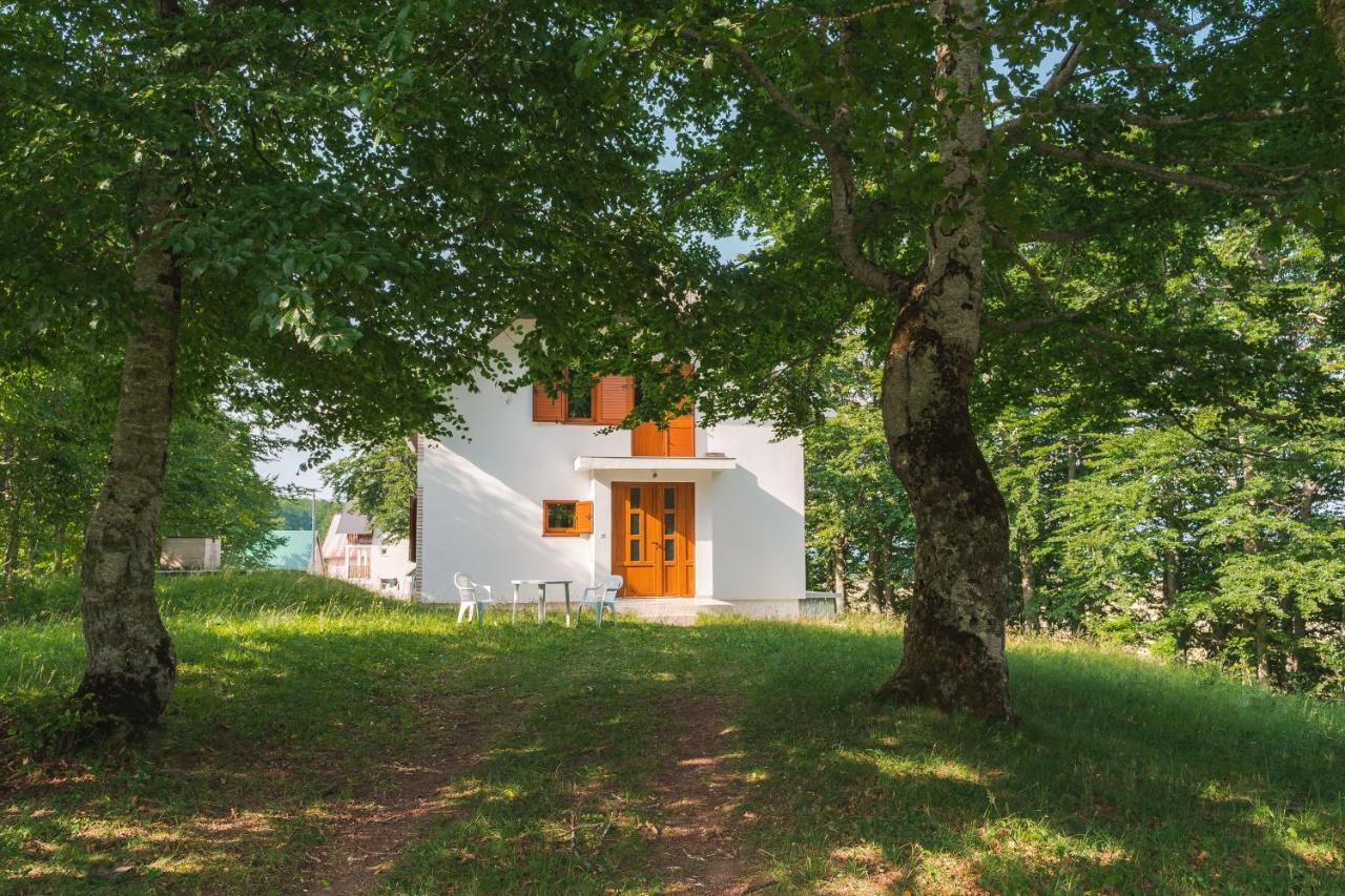 Villa Highlander's House Žabljak Exterior foto